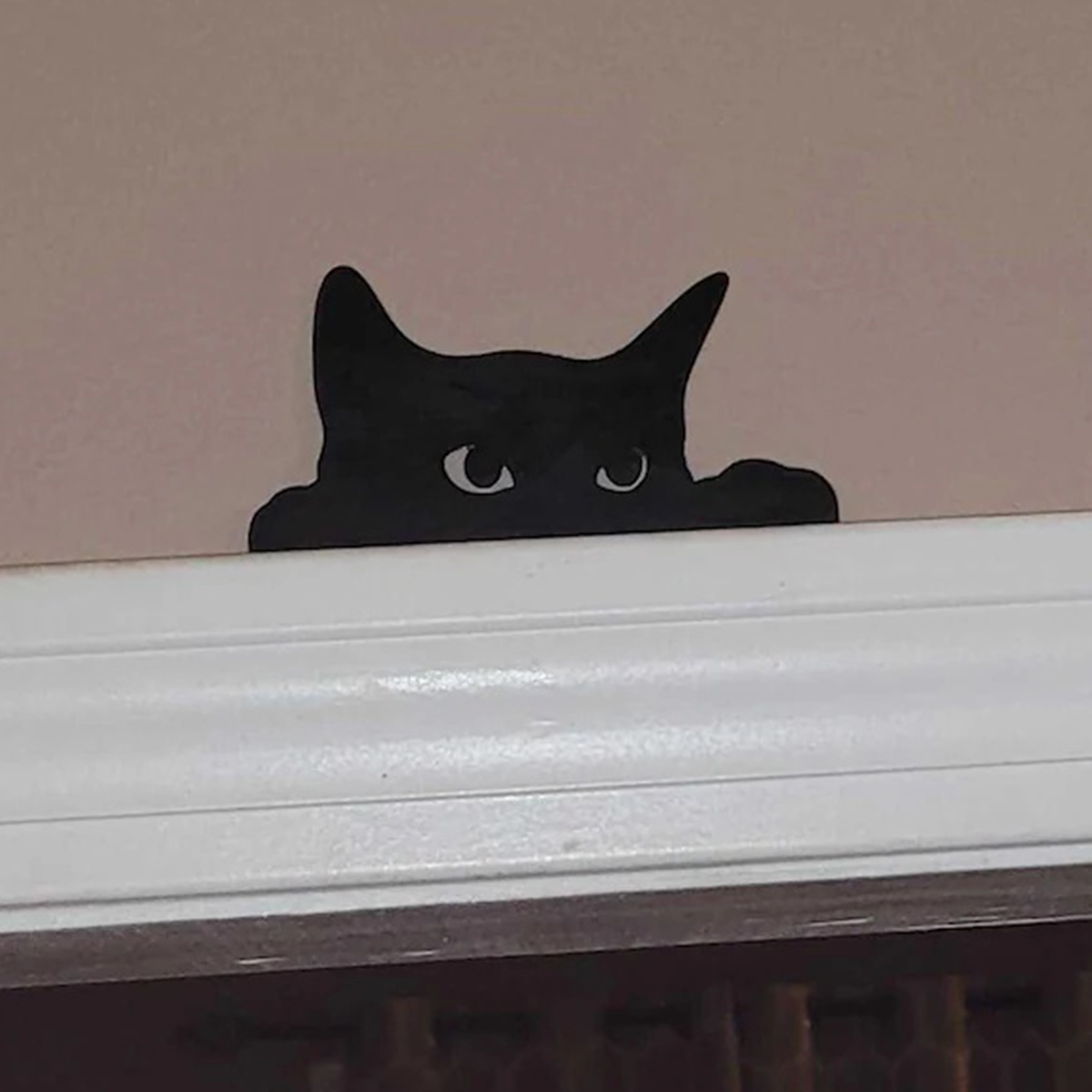 1 Pc Cat Looking Up Door Toppe - đánh giá và giá Kitchen Up