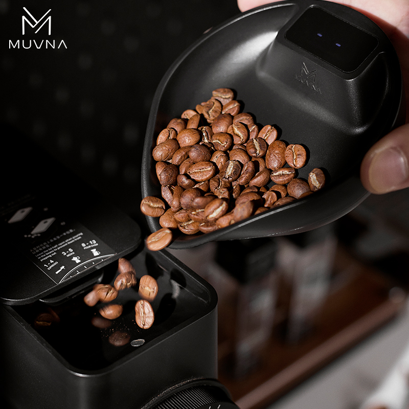 MUVNA Digital Coffee Bean Scal - đánh giá và giá Kitchen Scale Precise