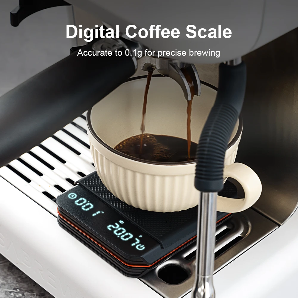 Kitchen Scale Coffee Accessori - đánh giá và giá Kitchen Scale Precise