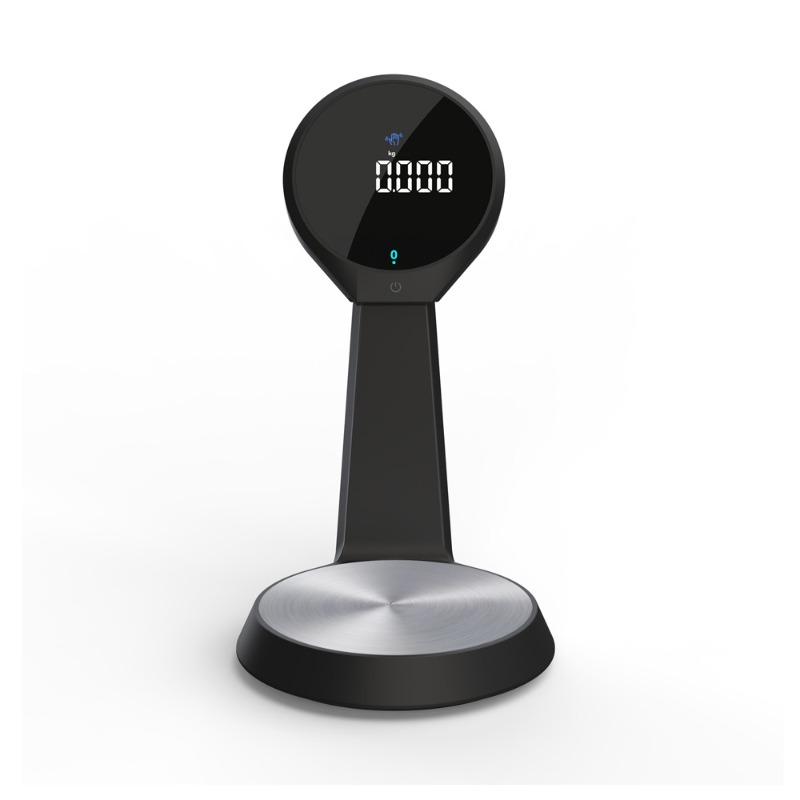 High Precision Digital Kitchen - đánh giá và giá Kitchen Scale Precise